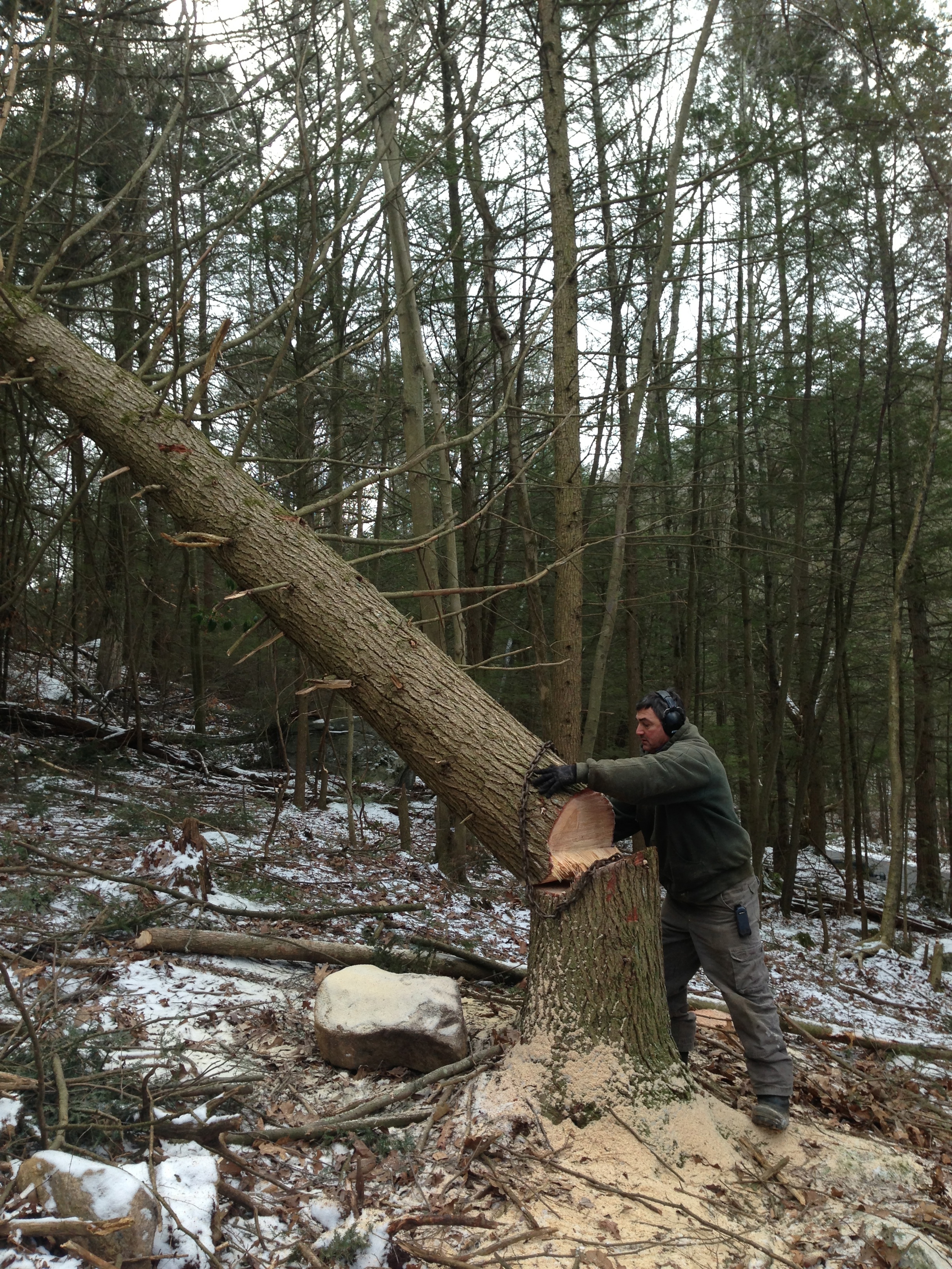 Grampi taking down the BIG ONE!