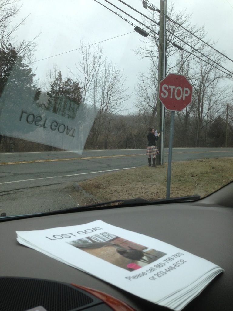 stack of lost goat signs