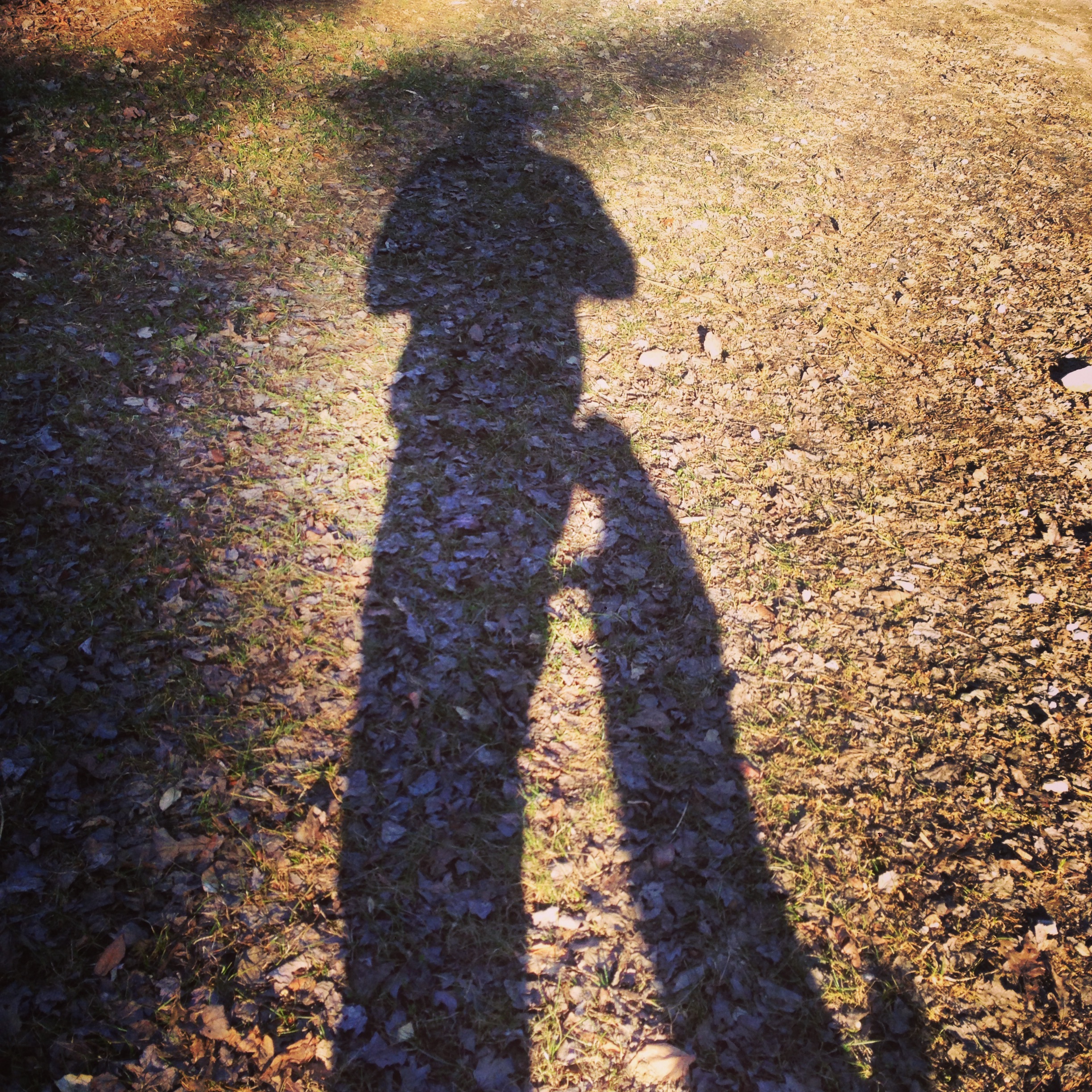 goat shadow jumping up on a person shadow