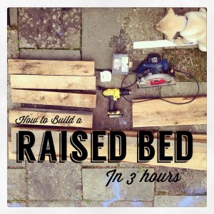 How To Build a Raised Bed in 3 Hours