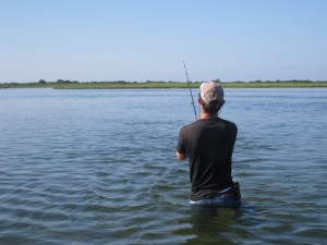 man wading in water fishing for stripers