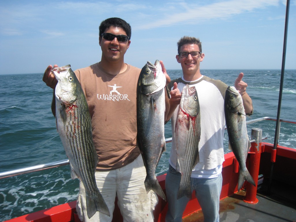 fishermen holding up stripped bass and bluefish on a party boat