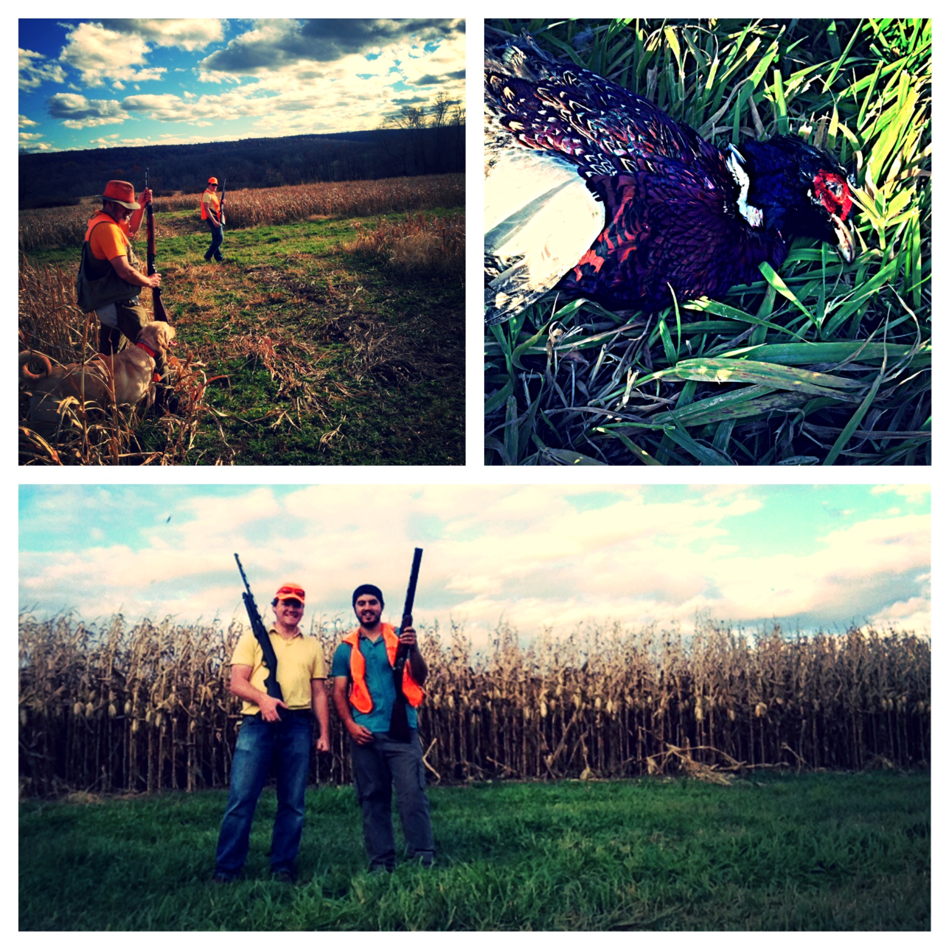 Spend a day in the field!