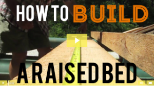 Video- How To Build a Raised Bed