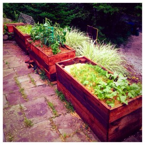 Organic Gardening Masterclass