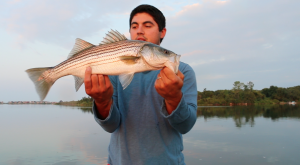 The Best Fish to Catch and Eat
