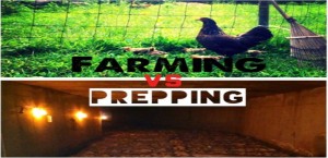 5 Reasons Farmers Beat Preppers