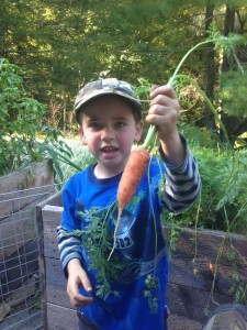 How much food can I grow in a raised bed?