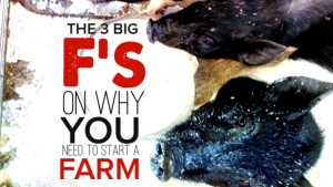 3 Big F’s on why you NEED to start a farm NOW