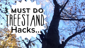 Treestand hacks…