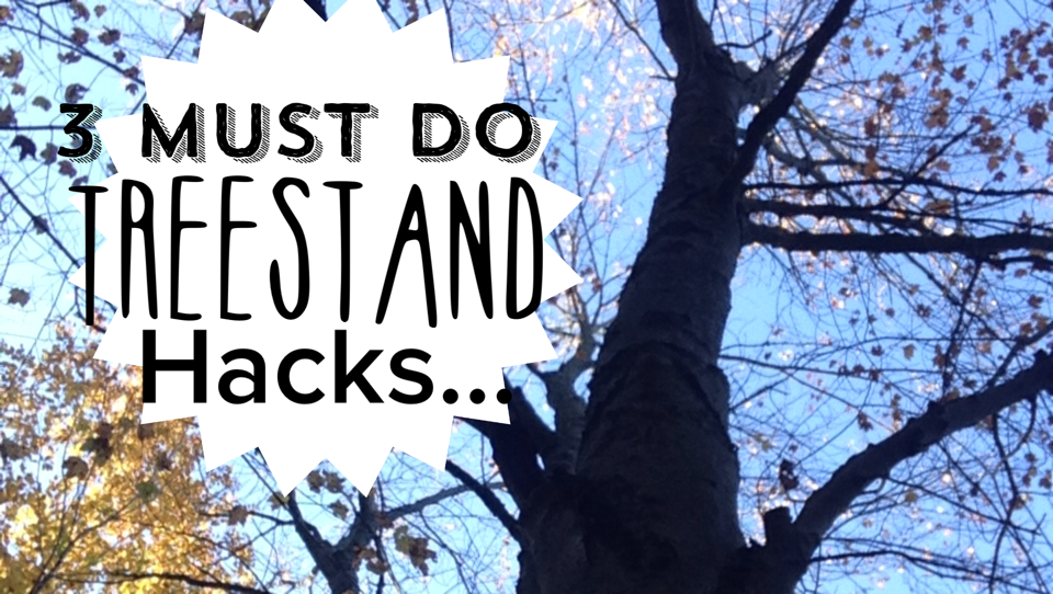 Treestand hacks... Homesteady