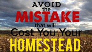 Avoid the Mistake that Will Cost You Your Homestead
