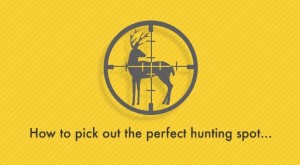 How To Choose the Perfect Hunting Location On Any Property