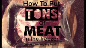 How To Fill Your Freezer With Meat Without Owning Any Land – Learn to Hunt