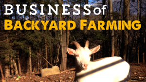The Business of Backyard Farming 101