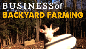 SHORT: Make Money Farming- 3 ways homesteaders can save and earn money from a small farm