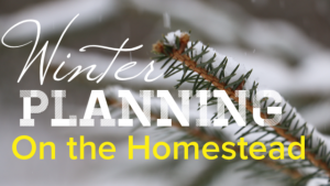 Homestead Planning for a year of Sustainability!