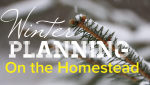 winter planning on the homestead