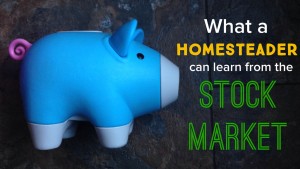 What a Homesteader Can Learn from the Stock Market
