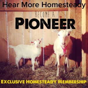 Become A Homesteady Pioneer Member!