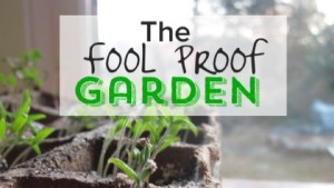 The Fool Proof Garden