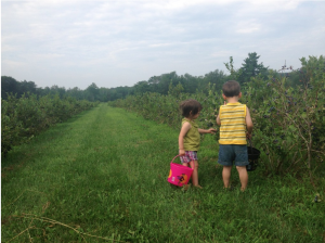 Orchard Workshop at the Homesteady Farm