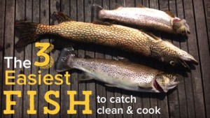 The Three Easiest Fish to Catch, Cook and Eat!