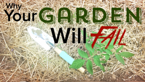 Why Your Garden is Failing…