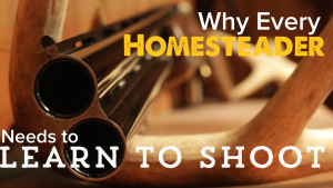 Why every homesteader needs to learn to shoot… and where to start if you have never shot a gun in your life… Like me!