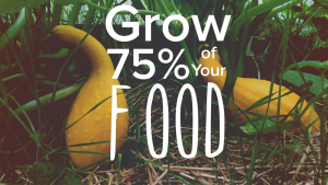 How To Grow 75% of Your Food with the No Till Method!