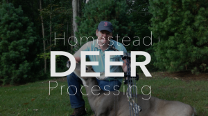 Pilot Version of the How To Butcher a Deer Course