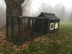 Chicken Housing – Coops and Tractors, and Electric Netting