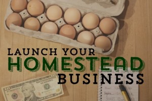 How to Turn Your Passion into a Business
