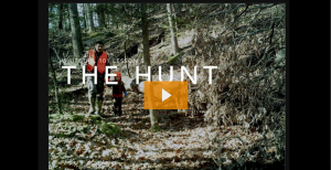 Whitetail 101- Lesson 5: The Hunt