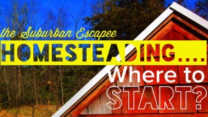 Homesteading - Where to start? 