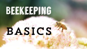 Intro to Beekeeping