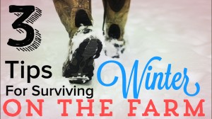 3 Tips to Make Homesteading and Farming Easier in the Winter