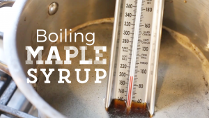 How To Finish Boiling Maple Syrup