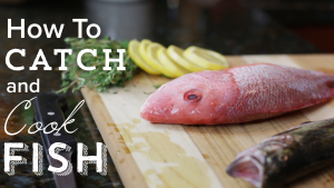 How to Catch, Clean and Cook Fish