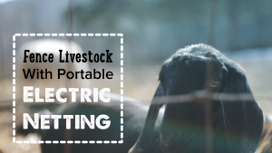 How To Install Electric Netting for Livestock
