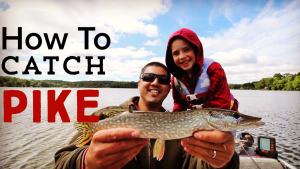 Catch a Northern Pike