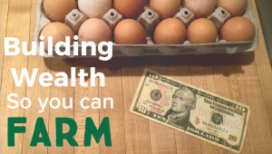 Building Wealth So You Can Enjoy Freedom to Farm – With John Pugliano