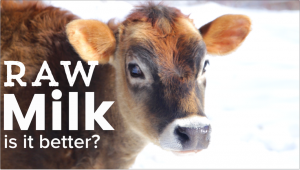 Is Raw Milk Better?