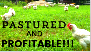 Running a Profitable Pastured Poultry Operation from Your Homestead or Farm