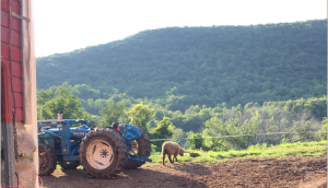 She Quit Her Job and Started Farming