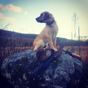 Hunting, Cleaning and Cooking My First Pheasant!