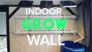 How To Build a Hydroponic Grow Wall for Indoor Gardening Year Round!