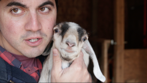 Goats 1 – Aust 0