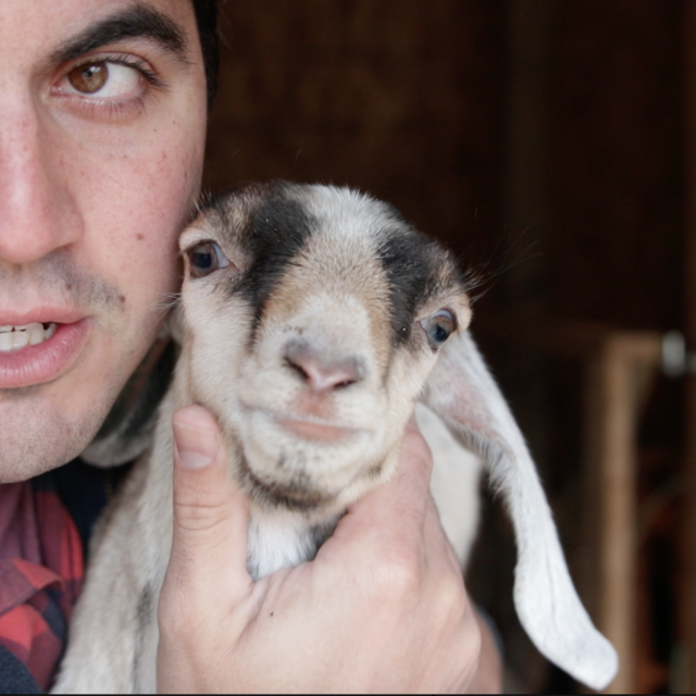 Goats 1 – Aust 0