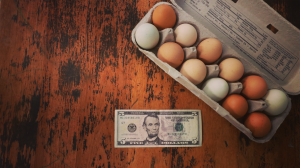MAKE PROFIT FROM FARM FRESH EGGS (and other homesteading ventures)